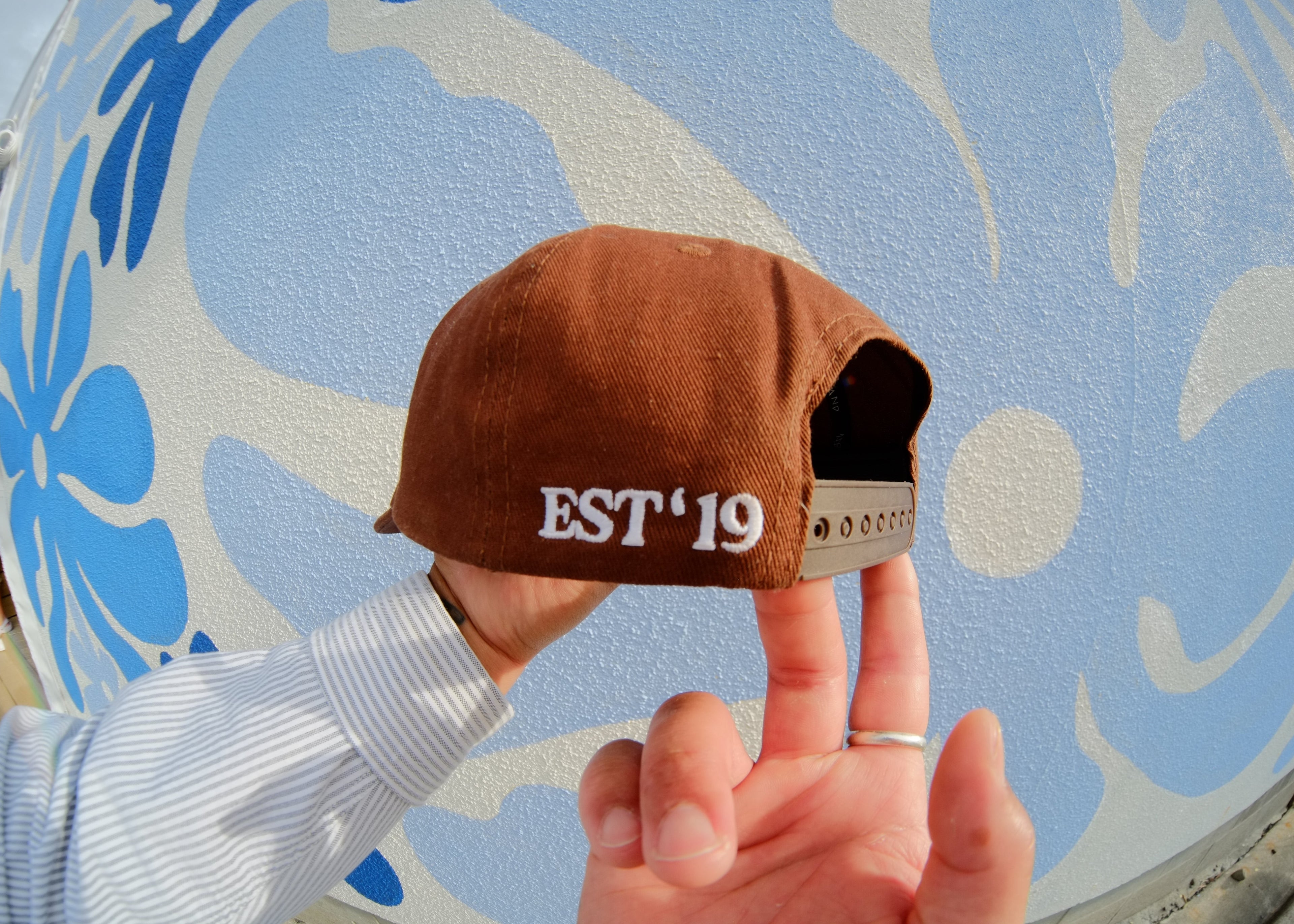 WB EST19 Brown Hat